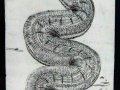 2541.jpg