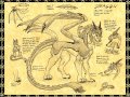 Dragon_by_nashoba_hostina.jpg