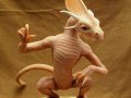Dragon_by_oddfae.jpg