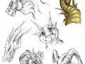Dragon_Head_Study_Thingaling.jpg