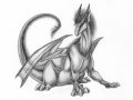 Dragon_piccie.jpg