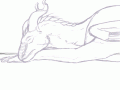 LiciLoopScaled2.gif