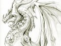 quiet_dragon.jpg