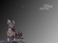 backround5.jpg