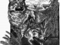 2Wolves(large)WM.jpg