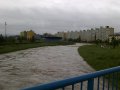 04062010274.jpg