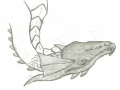 Albino_kresbicka_dracia_hlavicka_2013-3.png