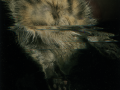 Image3.png