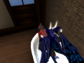 Snapshot_022(2).png