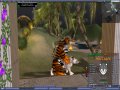 SL76.jpg