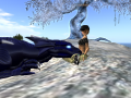 Snapshot_040.png