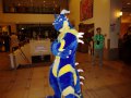 1472579366.jackhusky_img_6867.jpg