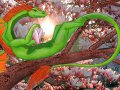 lair_a_magnolie_22421004414-518b4.jpg