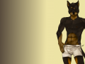 m_1270432638467_DoggieoWP.png