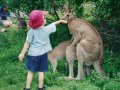 fun014.jpg