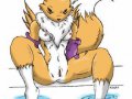 1135901059277_Renamon34.jpg