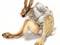 Bunny-StraightJacket.jpg