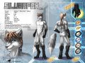 1273009750.darkgoose_ref33_ref_silverfox.jpg