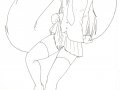 1209053854.accelo_shycat.jpg