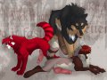 1200813308.straydog_daipavstub.jpg