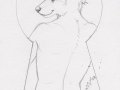 1353537118.hyperhusky_1353469405.albinodoe_keyholetazon.jpg