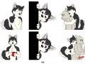 1576972365_edesk_fangstickers.jpg
