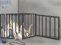 a94b91aff653c14b09624d6764e9b117.png
