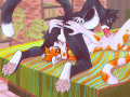 f479e64d625a04b255a06ea7871e85df.png