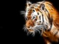 Fractal_Tiger_by_DemonWareXT.jpg
