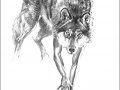 boris_vallejo_wulf.jpg
