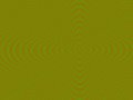 RED+GREEN.jpg