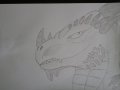 DSC00028.JPG