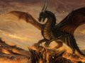 nethradorus_17214223201-f703e.jpg