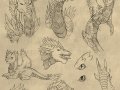 dragon_sketch_dump_by_Firespettan.jpg