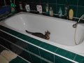 IMG_0032.JPG