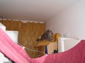 IMG_0134.JPG