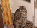 IMG_0162.JPG