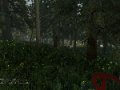 2014-06-08_00002.jpg
