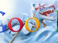 dragonboat2010-hp.jpg