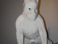 1255378510.dwaggiemorph_img_0939.jpg