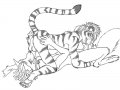 1259516412.acwtiger_1259450203.toren-al_a69.jpg