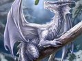 snow_dragon.jpg