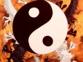 yin-yang-fabric-poster.jpg
